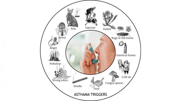 Homeopathy And Asthma