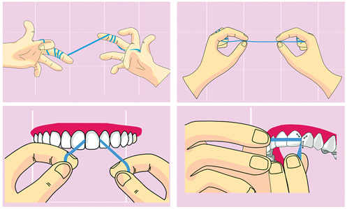 The Science Of Teeth: Gum Care – I