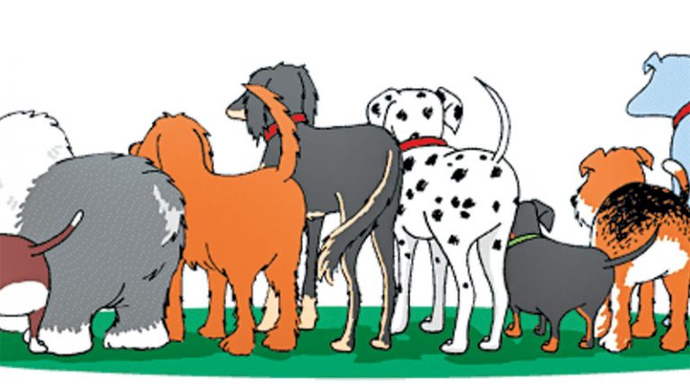 Tell-‘Tail’ Signs