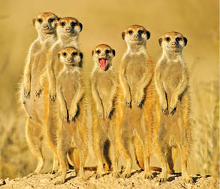 Caption This – 23 July 2016