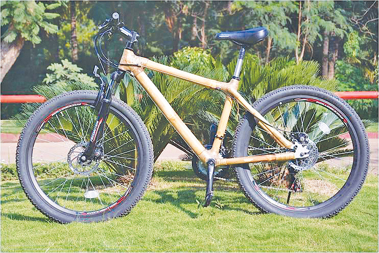Exciting Ride On A Bamboo Bike!