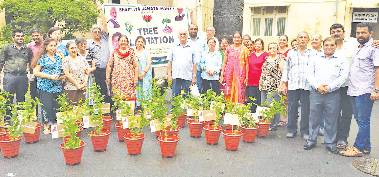 Tree Plantation At Gamadia Colony