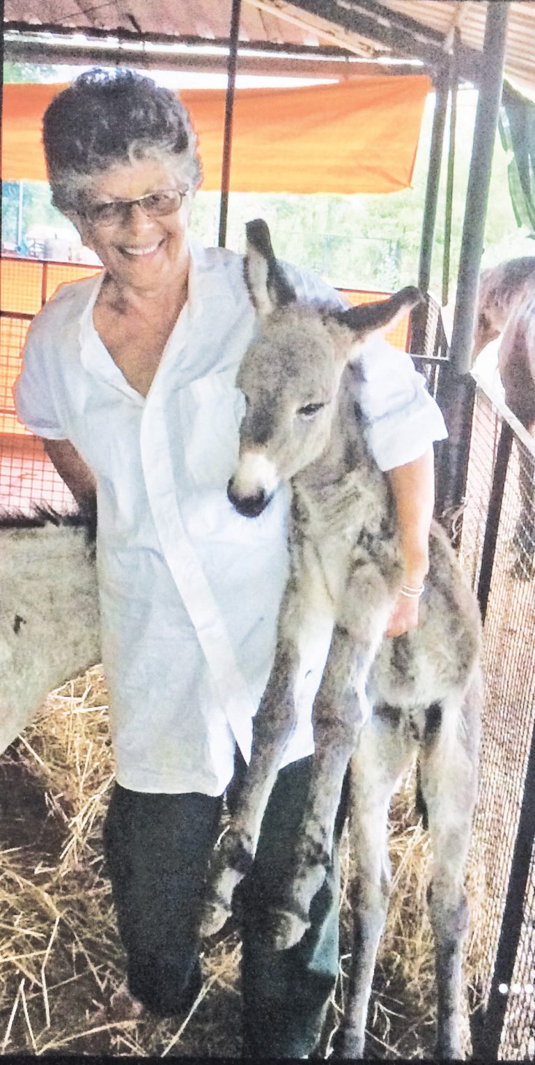 An Angel For Animals: Roxanne Davur