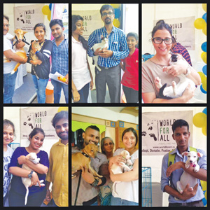 Furry Friends Find Homes!