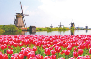 Amsterdam: The Venice Of The North