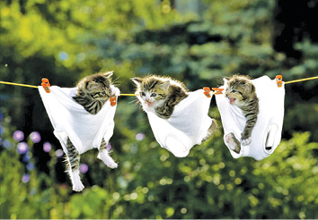 Caption This! – 15th October 2016