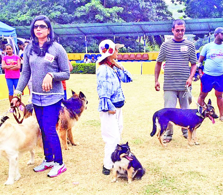 HAPPY PET’S DAY TO ALL ANIMAL LOVERS!