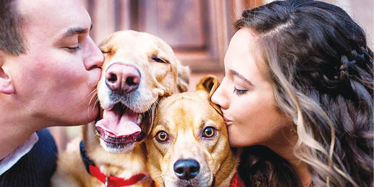 Happily Ever ‘Woof’ter!