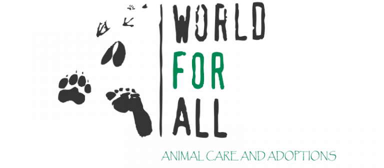 WFA Offers Fur Babies For Adoption