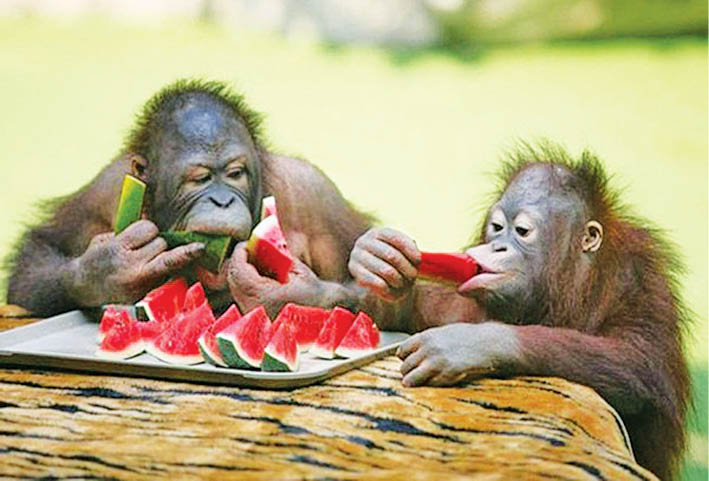 Caption This! – December 10, 2016