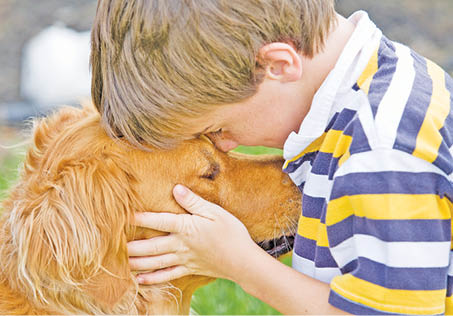 10 New Year Resolutions  For Dog Owners