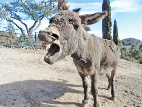 Caption This! – February 18, 2017