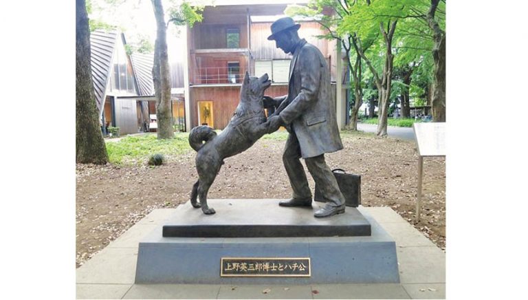 Learning From Our Pooches