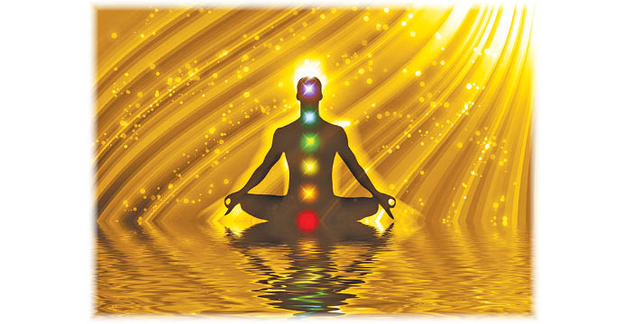 Understanding Unity Of Life