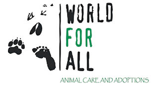 WFA’s 2017-18 Resolutions