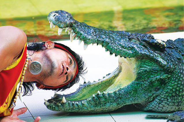 Caption This! – June 17, 2017