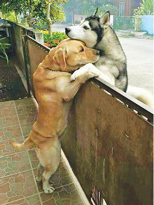 Caption This! – July 29, 2017