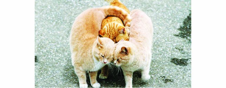 Caption This! – July 15, 2017