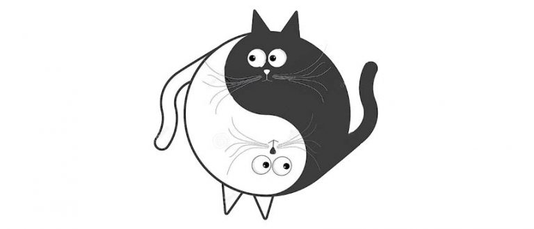 Meherbai’s Feng Shui (Mis) Adventures