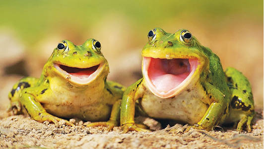 Caption This– September 30, 2017