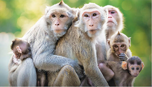 Caption This– September 2, 2017