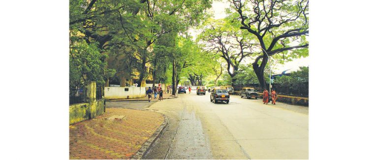 DPC Road Widening Project Update