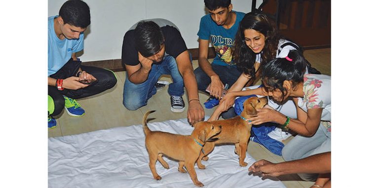 ‘Paw’portunity Comes Knocking!