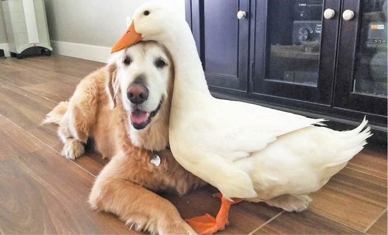 Caption This – November 11, 2017