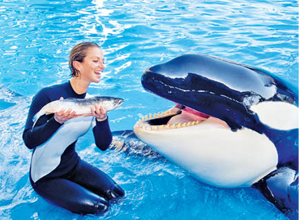 Caption This – December 23, 2017