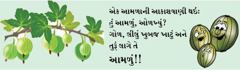 તંદુરસ્ત રહેવા માટે એક આમળાની આકાશવાણી!!