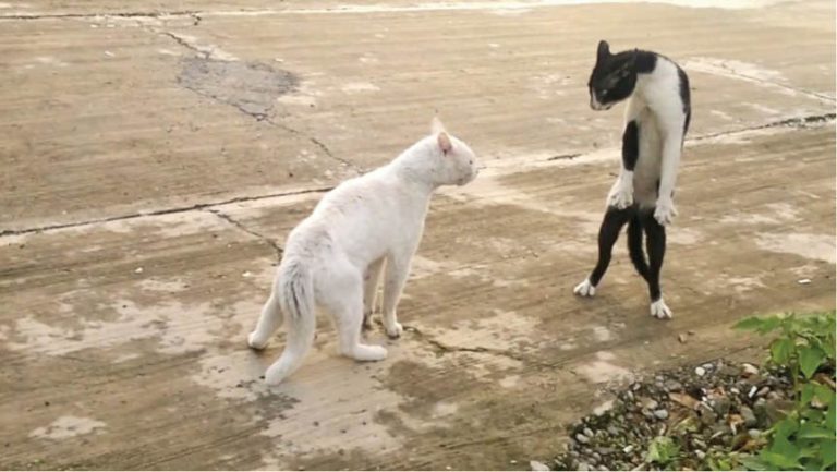 Caption This – January 06, 2018