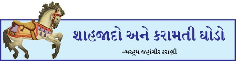 શાહજાદો અને ઘોડો બન્ને ગુમ!