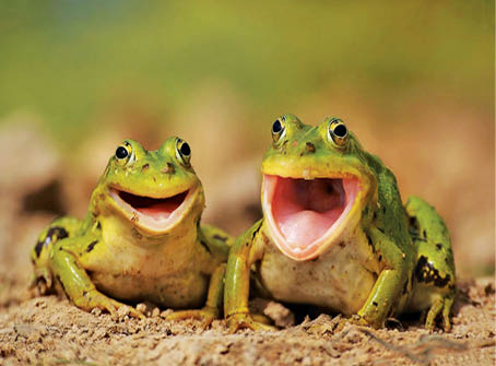 Caption This – March 03, 2018