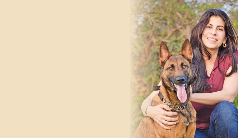 Turn Your Passion For Canines Into A Career!