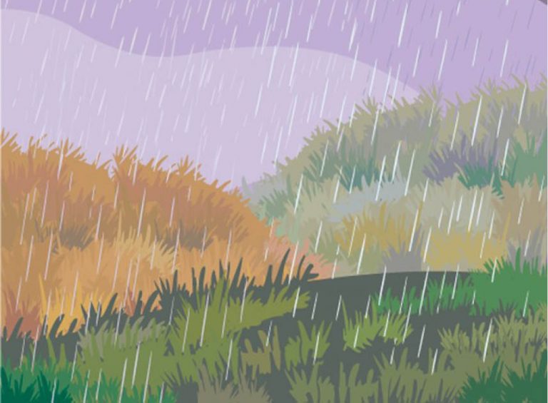 Best Trekking Destinations This Monsoon!