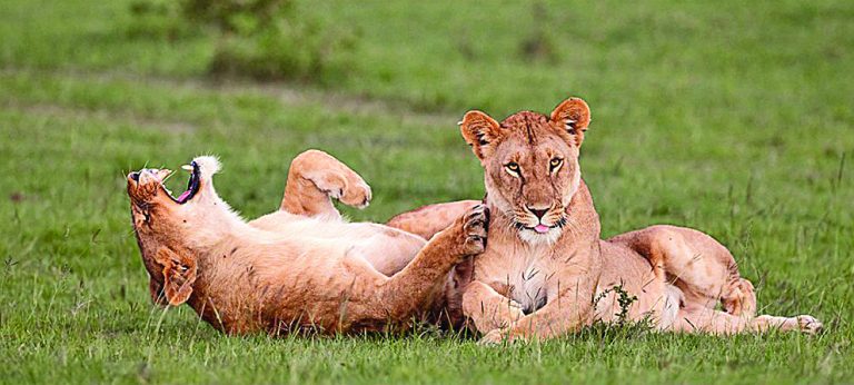 Caption This – 14th July, 2018