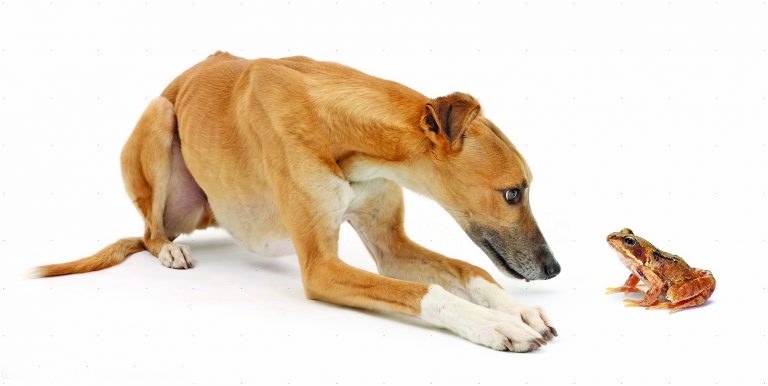 Caption This – 1st September