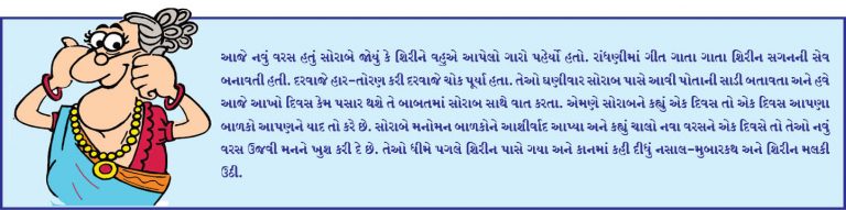 નવા વર્ષની સાડી