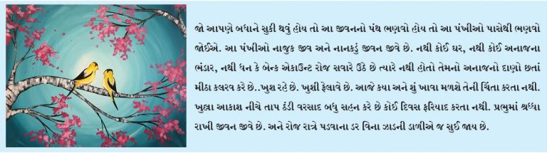 સુખી જીવન જીવવા પંખીઓ જેવા બનો!