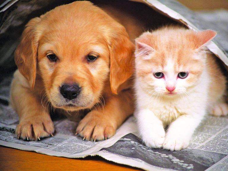 Caption This – 13th October