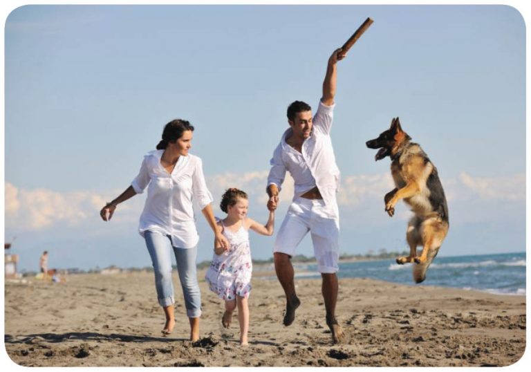 12 New Year Resolutions  Your Dogs Want You To Make!