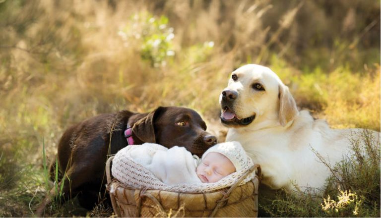 Caption This – 5th January