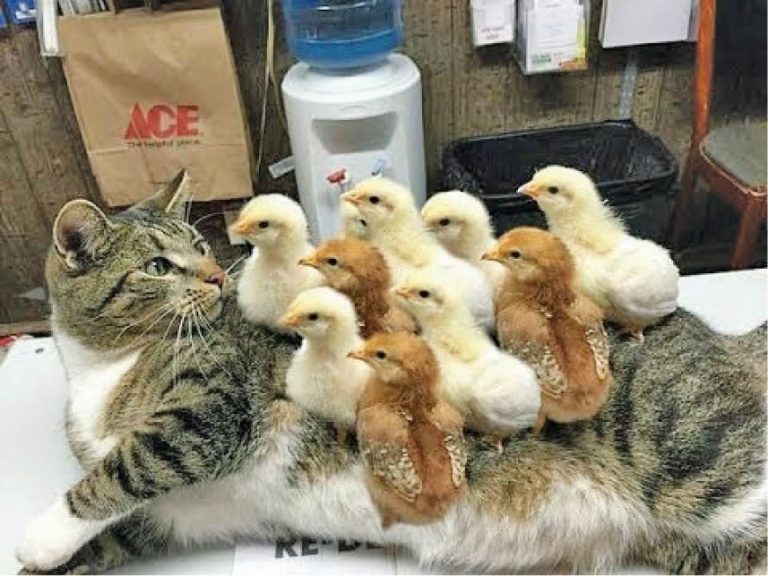 Caption This – 9th February