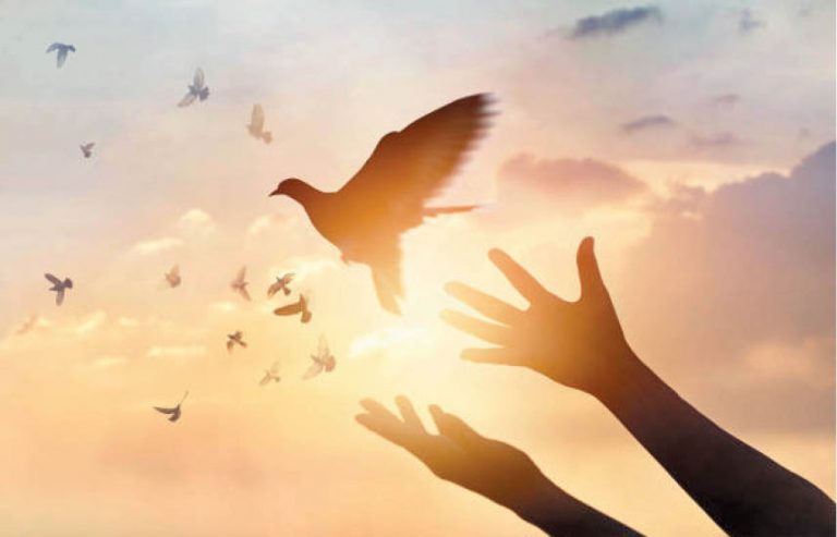 Nature Forgives, And So Should We