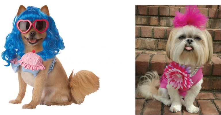 Get Yourself The Girl Dog!