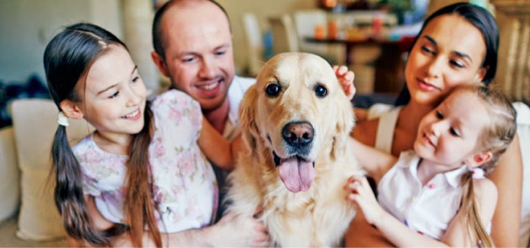 From ‘Rowdy Rover’ To ‘Courteous Canine’