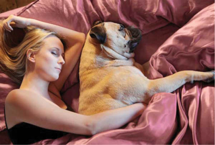 10 Reasons Why Women Prefer Dogs To Men!