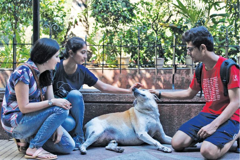 WSD To Hold Volunteer Orientation Workshop