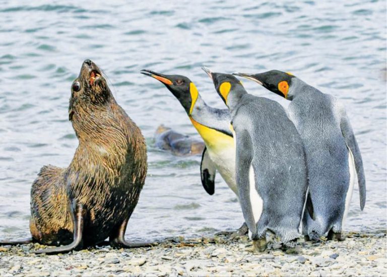 Caption This – 4th May