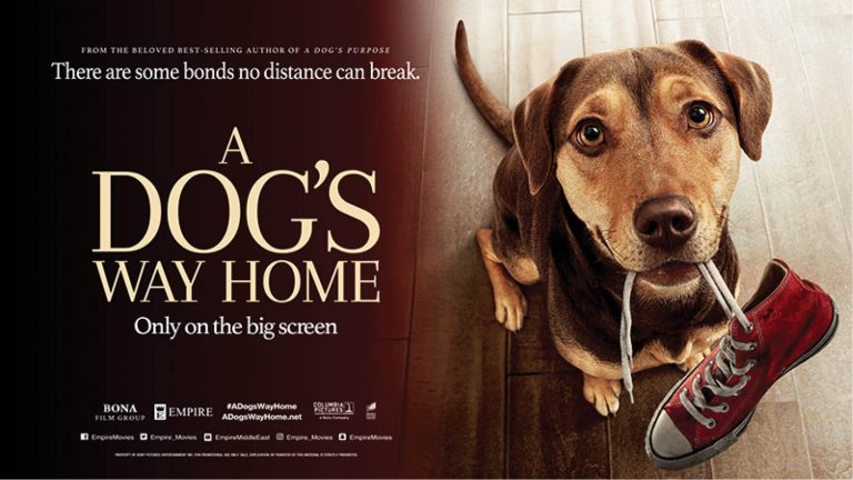 A DOG’S WAY HOME